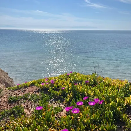 Teo Violeta House بيت للعطل