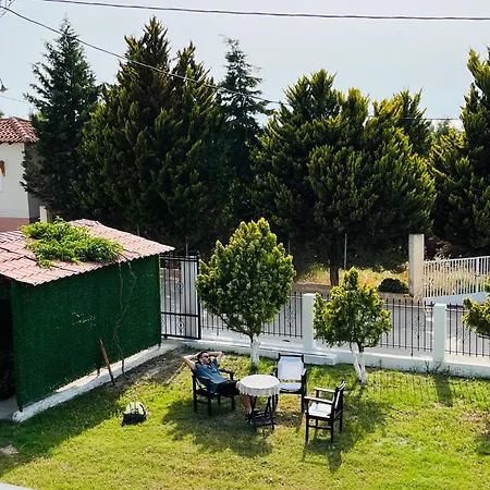 Teo Violeta House