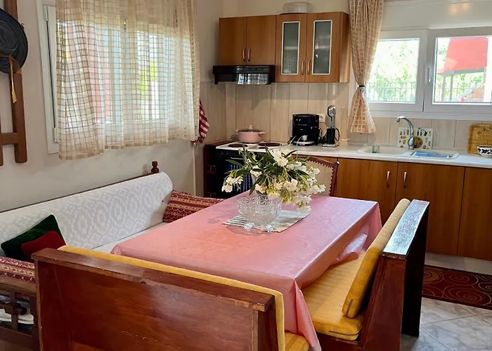 Teo Violeta House